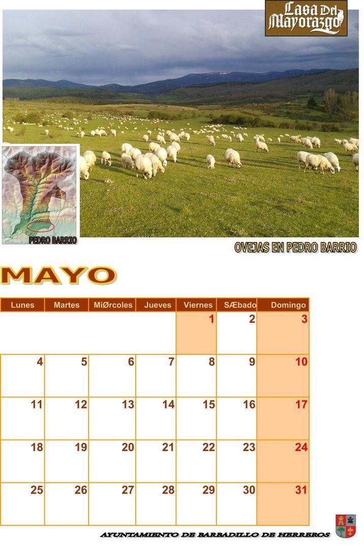 CALENDARIO 2015 (Casa del Mayorazgo)