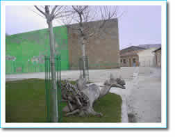 FRONTÓN