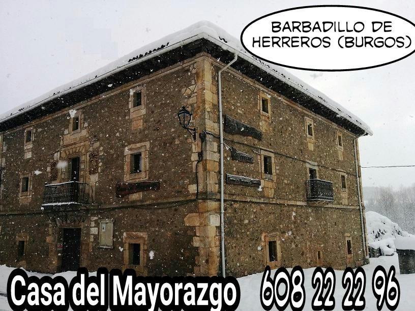 Fotografía de la galería de imágenes con id: 992